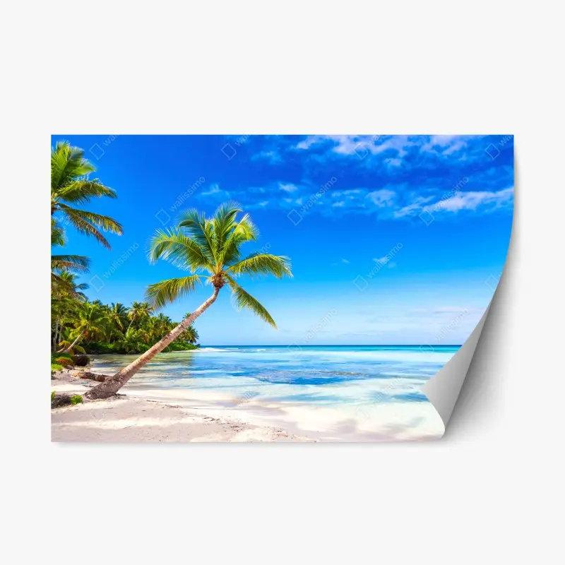 Repositionable sticker tropical palm beach panorama