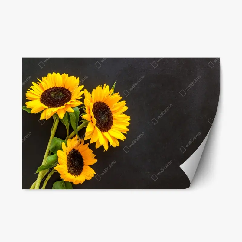 Repositionable sticker sunflower bouquet on chalkboard background