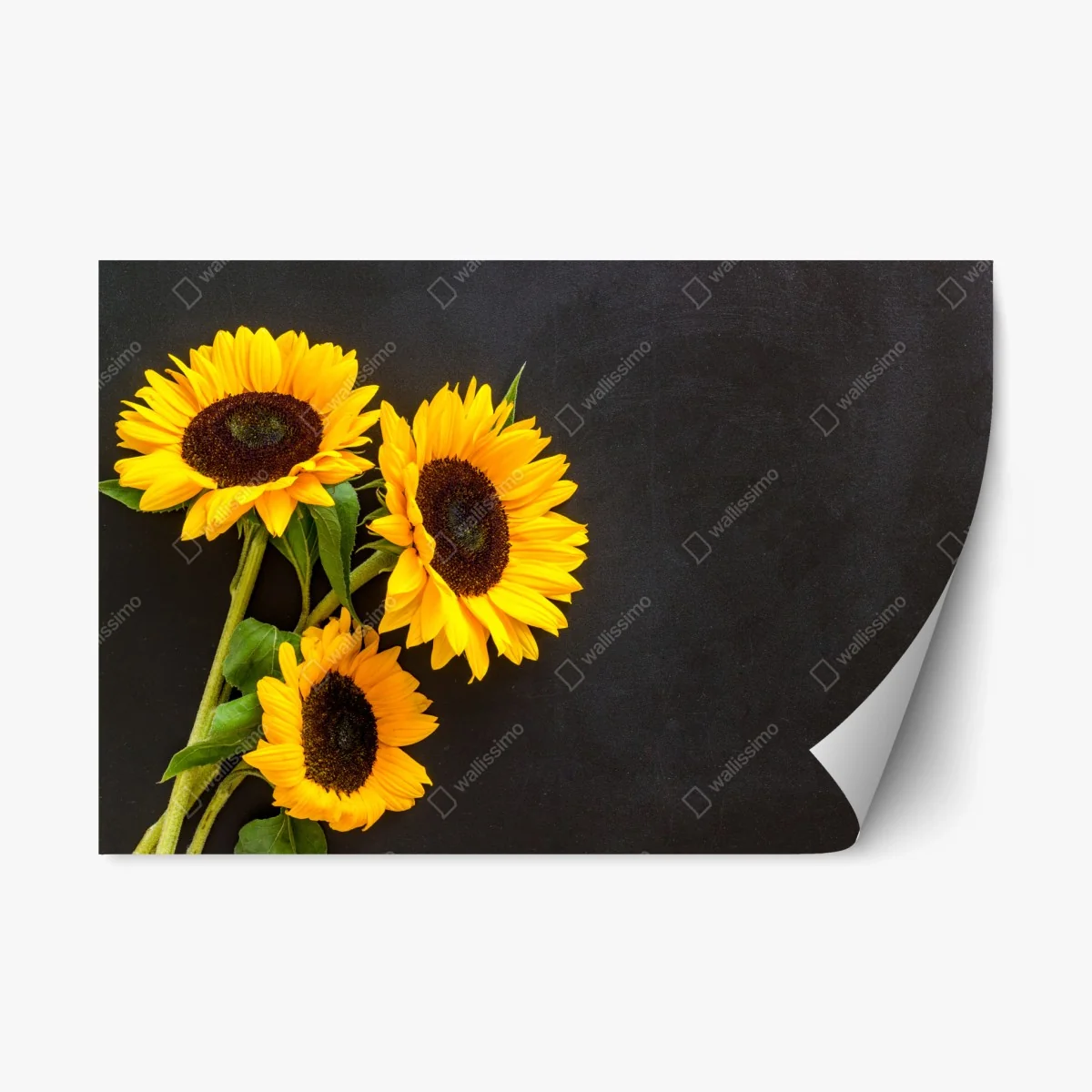 Repositionable sticker sunflower bouquet on chalkboard background • Wallissimo® Repositionable sticker sunflower bouquet on chalkboard background • Wallissimo®