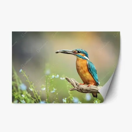 Repositionable sticker kingfisher on branch with fish • Wallissimo®
