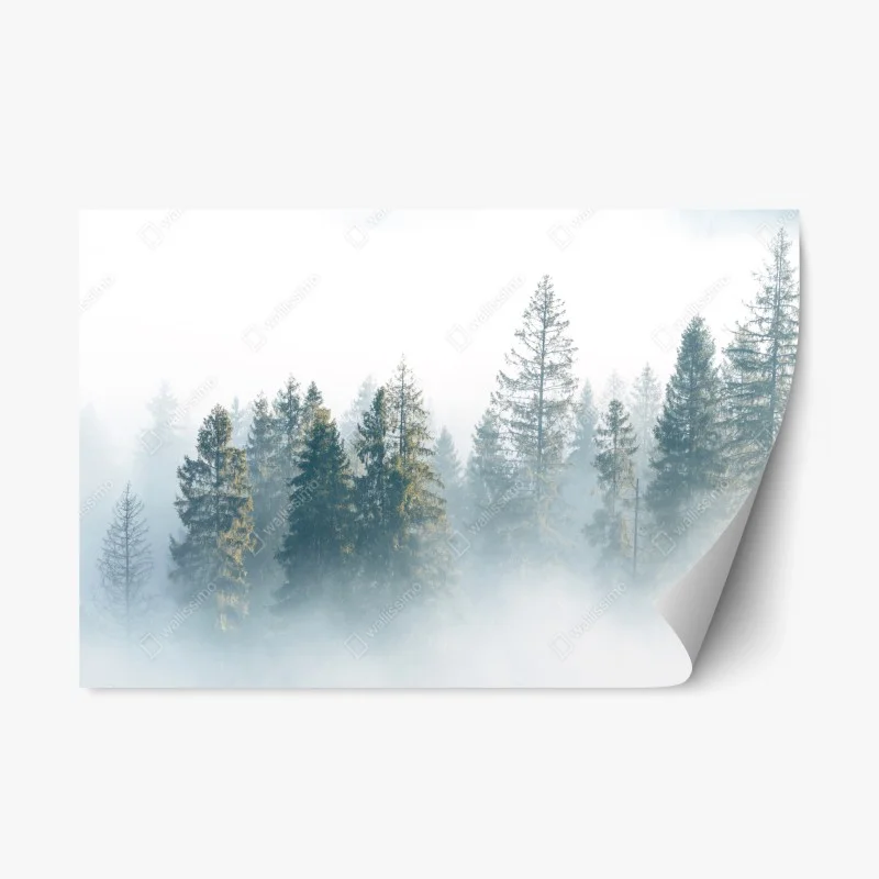 Repositionable sticker misty spruce forest at dawn