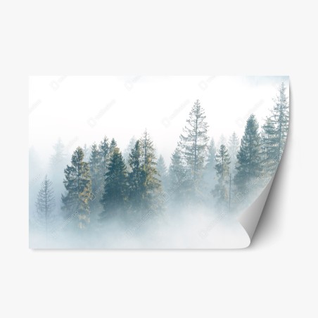 Repositionable sticker misty spruce forest at dawn • Wallissimo®