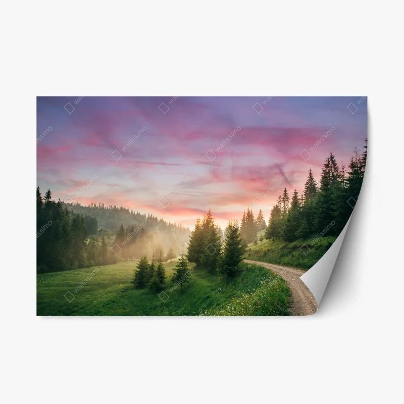 Repositionable sticker misty sunset in the pine forest