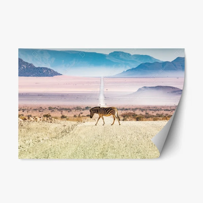 Repositionable sticker zebra crossing the desert road