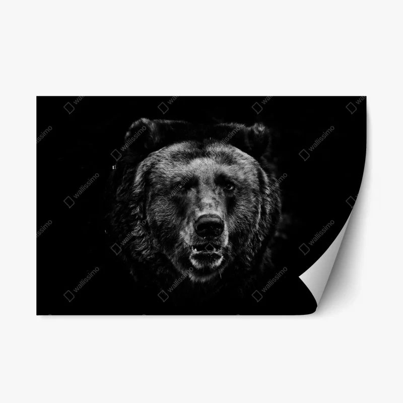 Repositionable sticker moody grizzly bear portrait