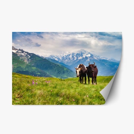 Repositionable sticker alpine meadow with grazing cows • Wallissimo®
