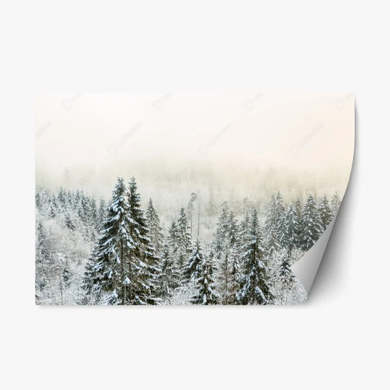Repositionable sticker winter forest in soft fog