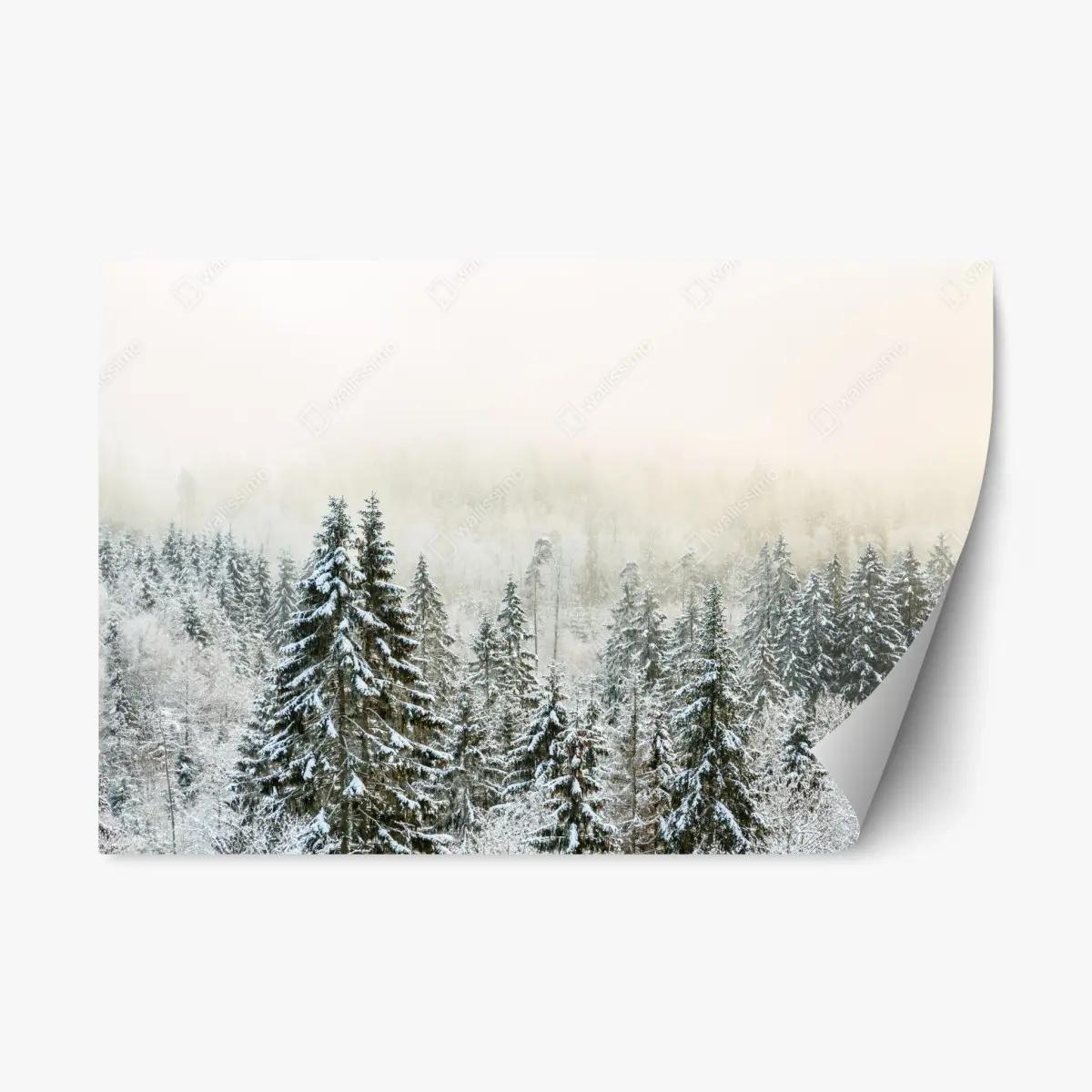 Repositionable sticker winter forest in soft fog • Wallissimo® Repositionable sticker winter forest in soft fog • Wallissimo®