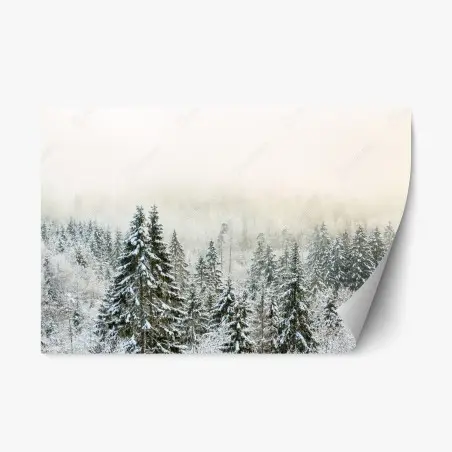 Repositionable sticker winter forest in soft fog • Wallissimo®