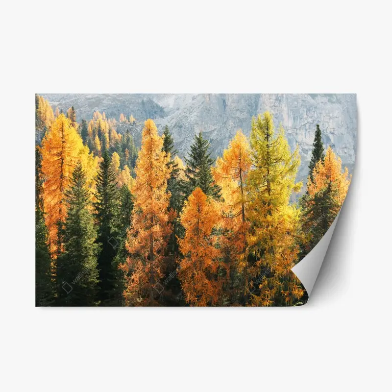 Repositionable sticker • Wallissimo®