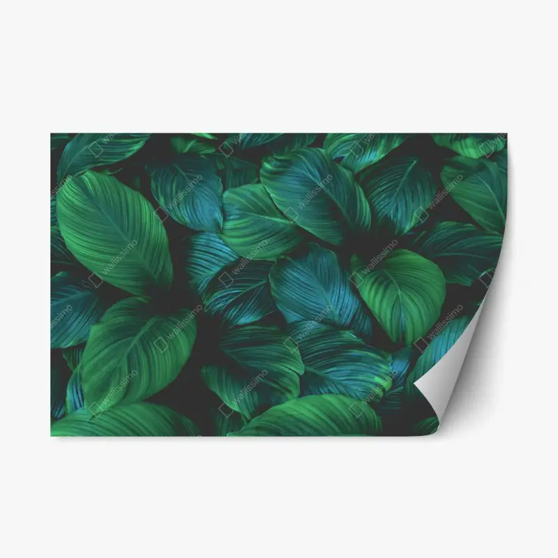 Repositionable sticker lush tropical leaves art
