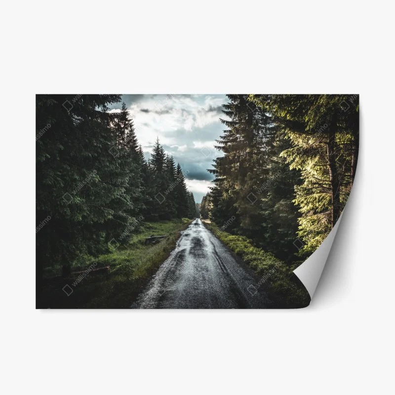 Repositionable sticker forest road through misty pines