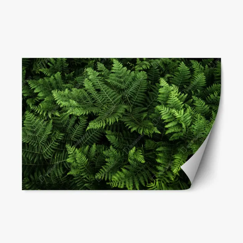 Repositionable sticker lush green fern foliage