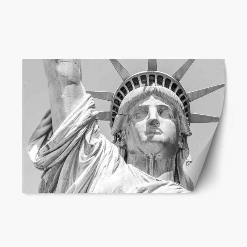 Repositionable sticker Statue of Liberty close-up portrait
