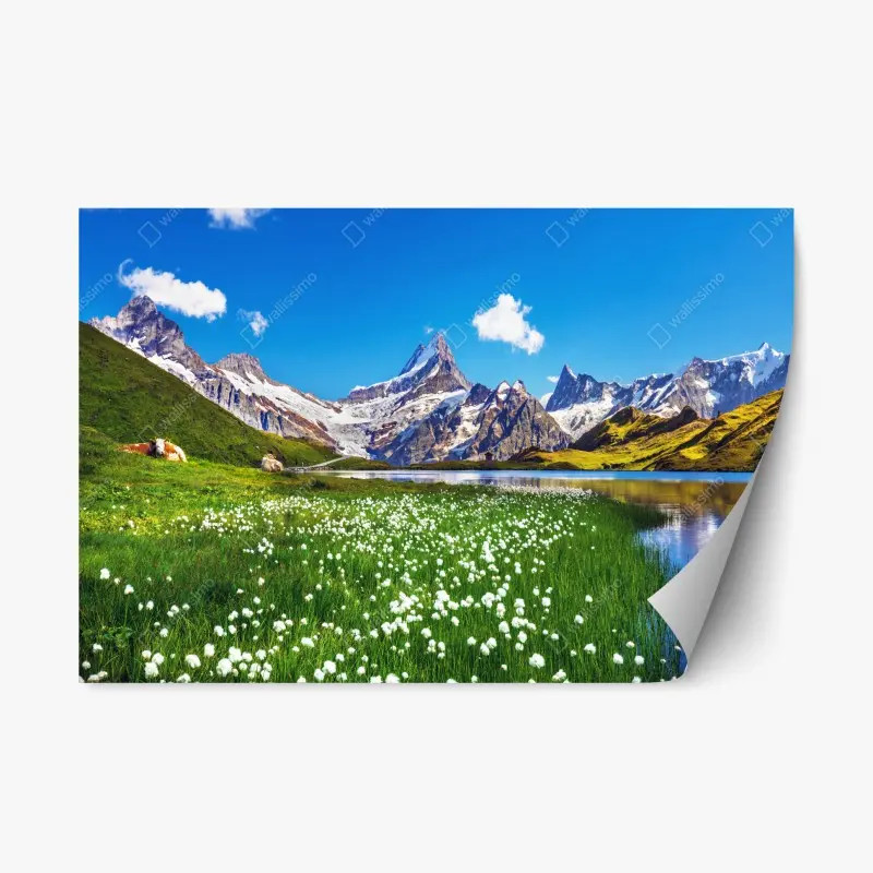 Repositionable sticker alpine mountain lake with wildflower meadow ⁕ Wallissimo®