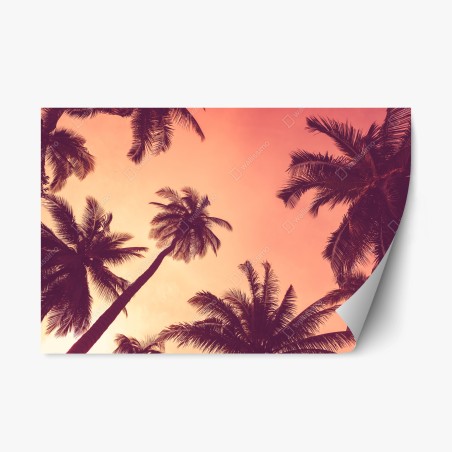 Repositionable sticker tropical palms at sunset • Wallissimo®