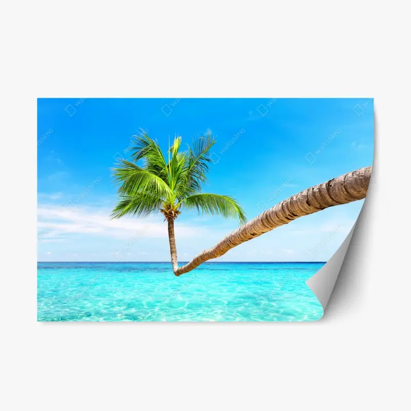 Repositionable sticker • Wallissimo®