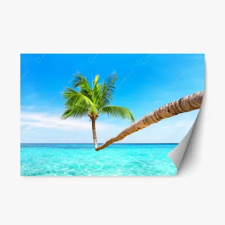 Repositionable sticker tropical palm in Punta Cana • Wallissimo®
