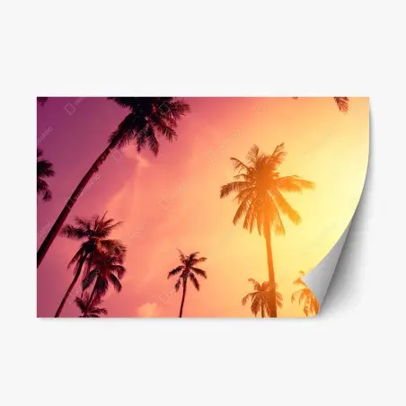 Repositionable sticker tropical palm sunset • Wallissimo®