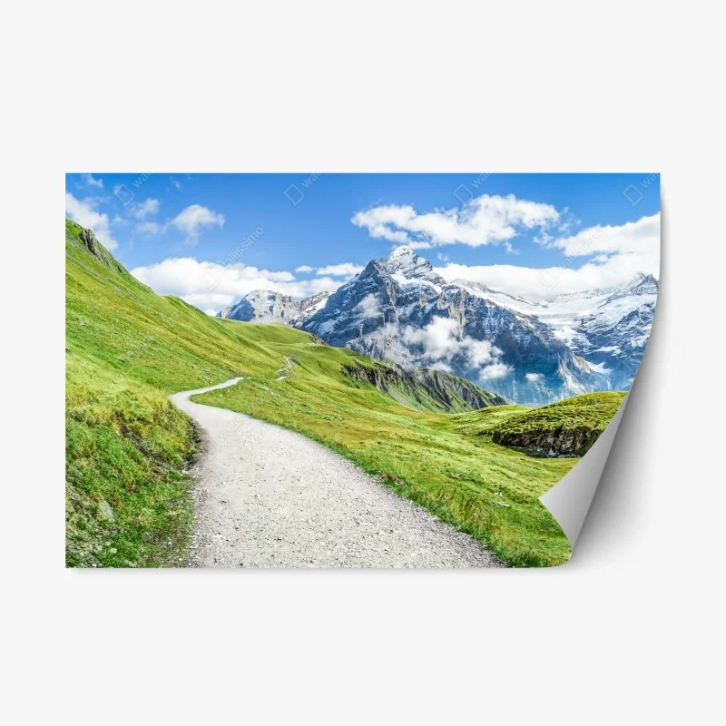 Repositionable sticker alpine mountain trail panorama