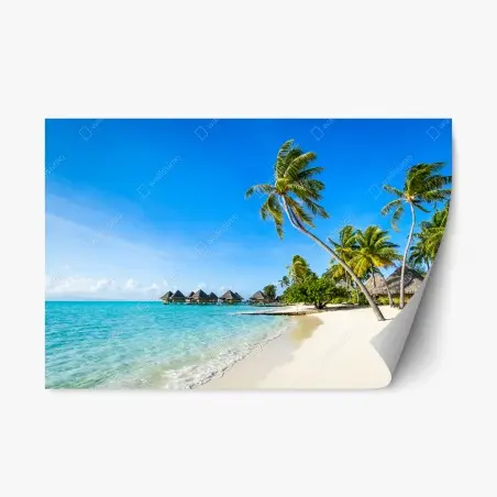 Repositionable sticker tropical turquoise beach with palm trees • Wallissimo®