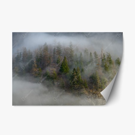 Repositionable sticker misty mountain forest • Wallissimo®
