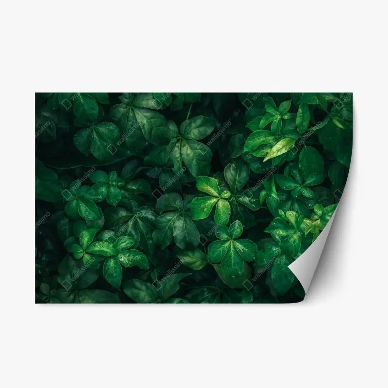 Repositionable sticker lush tropical green foliage