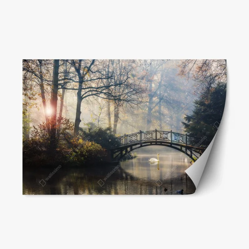 Repositionable sticker misty autumn bridge with swan