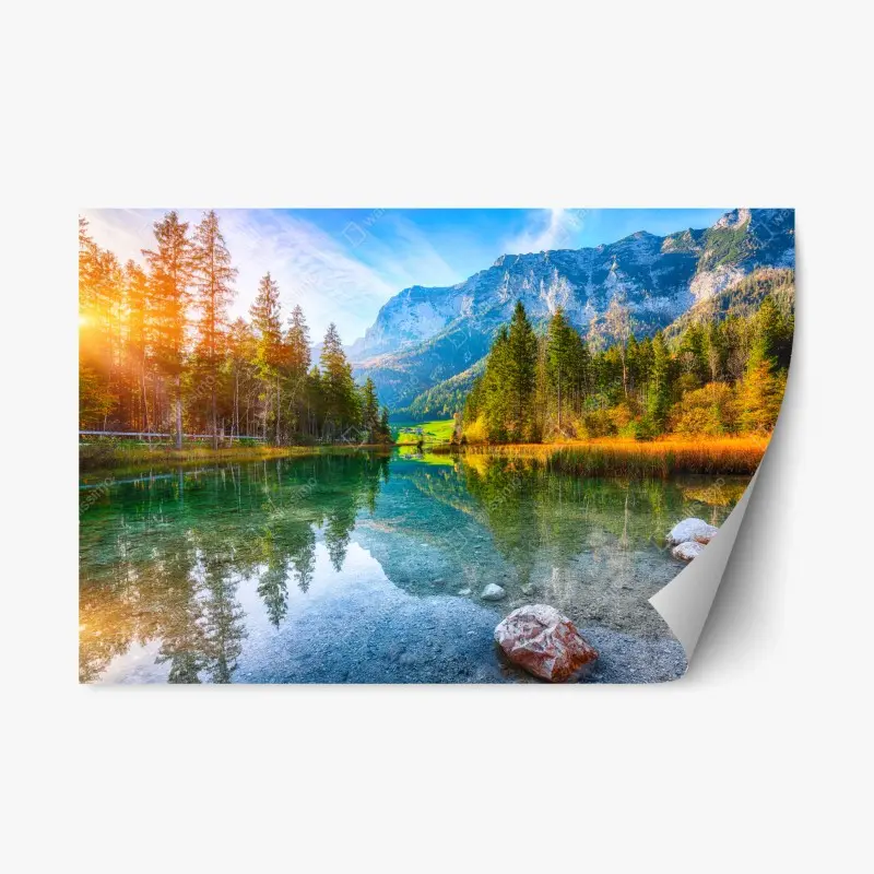 Repositionable sticker • Wallissimo®