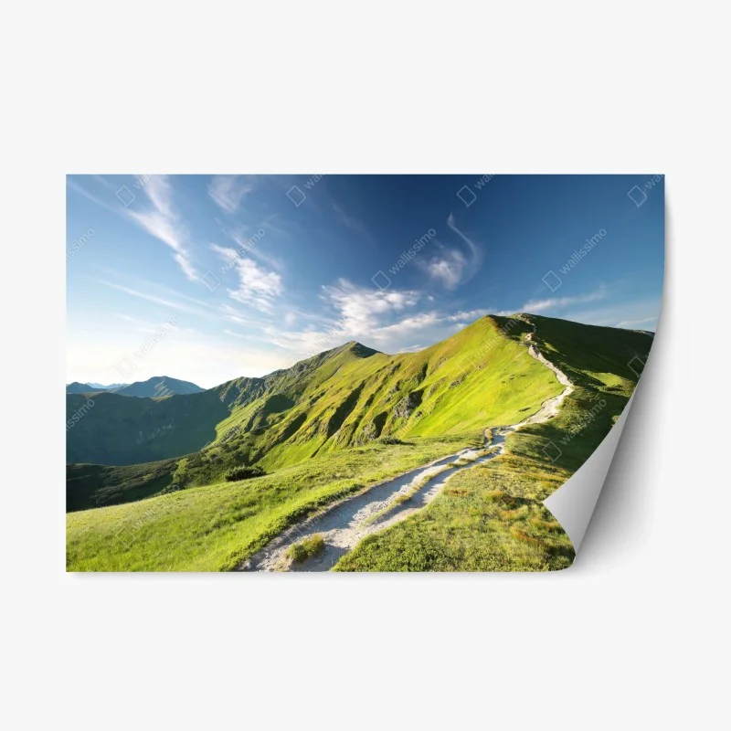 Repositionable sticker sunlit mountain ridge trail ⁕ Wallissimo®