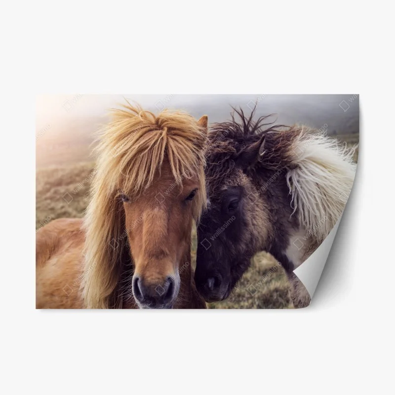 Repositionable sticker two horses on a foggy hill, Faroe Islands