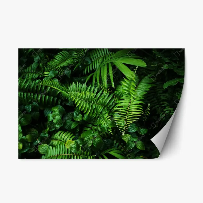 Repositionable sticker lush tropical fern leaves