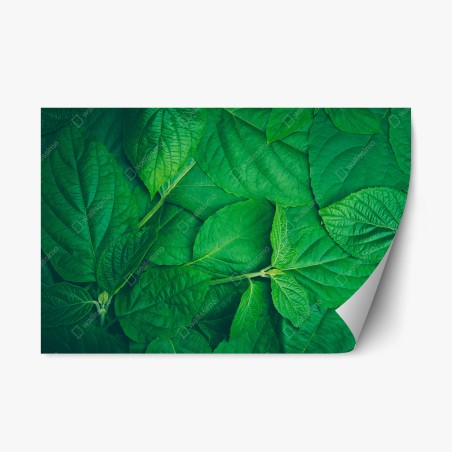 Repositionable sticker lush green leaves texture • Wallissimo®