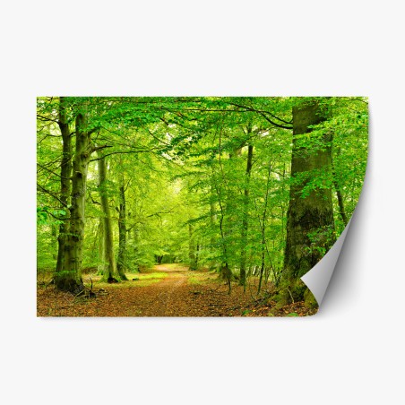 Repositionable sticker serene green forest pathway • Wallissimo®