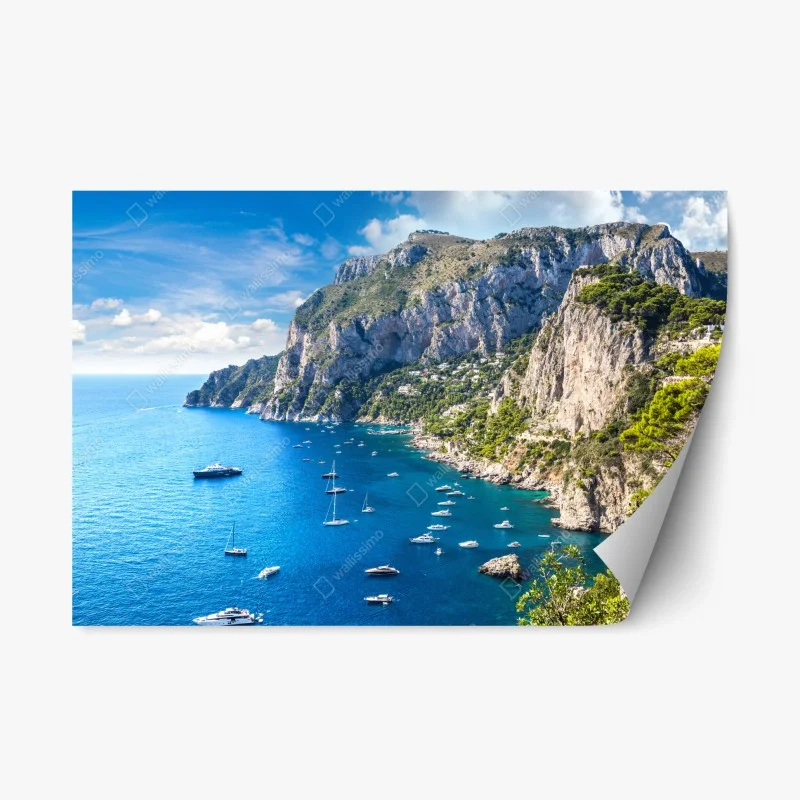 Repositionable sticker • Wallissimo®