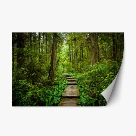 Repositionable sticker serene forest boardwalk path • Wallissimo®