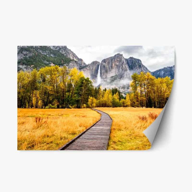 Repositionable sticker misty forest at dawn • Wallissimo®