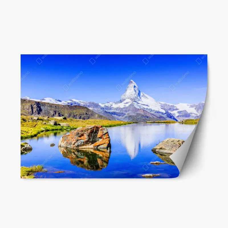 Repositionable sticker • Wallissimo®