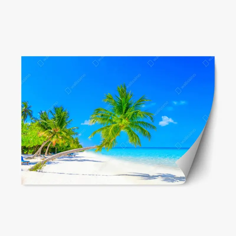 Repositionable sticker beach paradise in Maldives