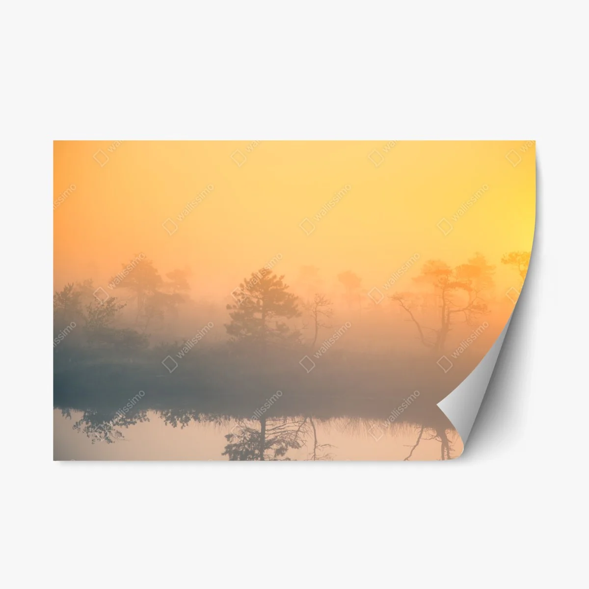 Repositionable sticker dreamy sunrise over a misty marsh • Wallissimo® Repositionable sticker dreamy sunrise over a misty marsh • Wallissimo®