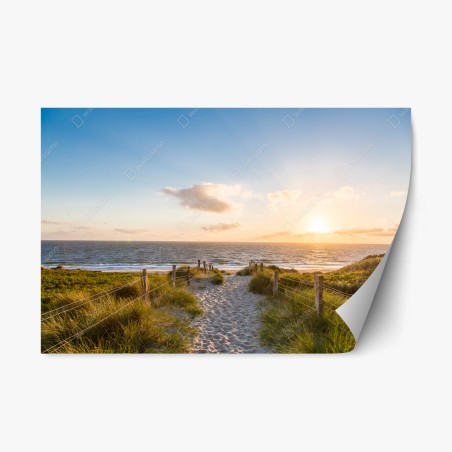 Repositionable sticker sunlit beach path to the ocean • Wallissimo®