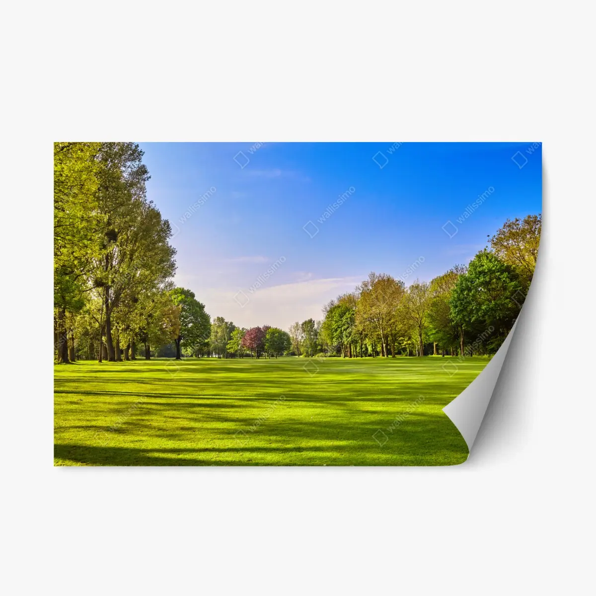 Repositionable sticker sunlit city park panorama • Wallissimo® Repositionable sticker sunlit city park panorama • Wallissimo®