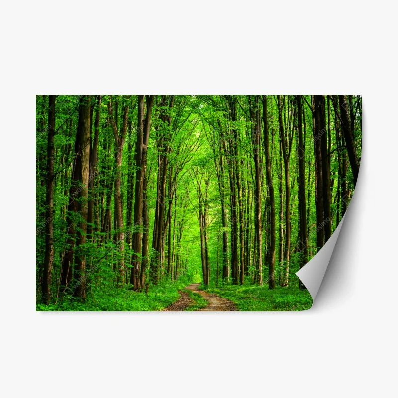 Repositionable sticker lush green forest pathway