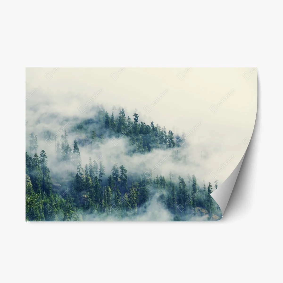 Repositionable sticker misty evergreen forest ⁕ Wallissimo® Repositionable sticker misty evergreen forest ⁕ Wallissimo®