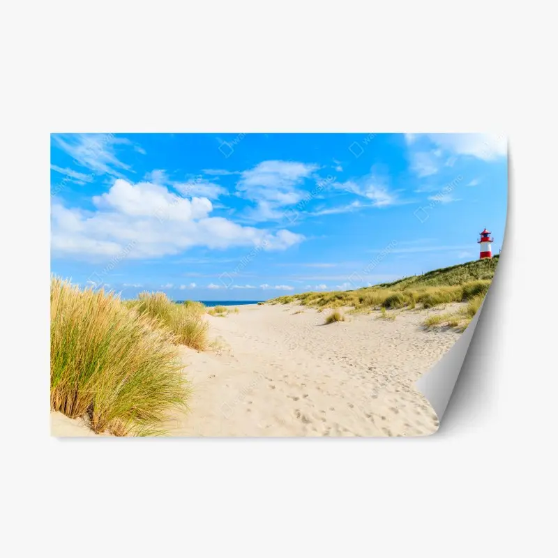 Repositionable sticker • Wallissimo®