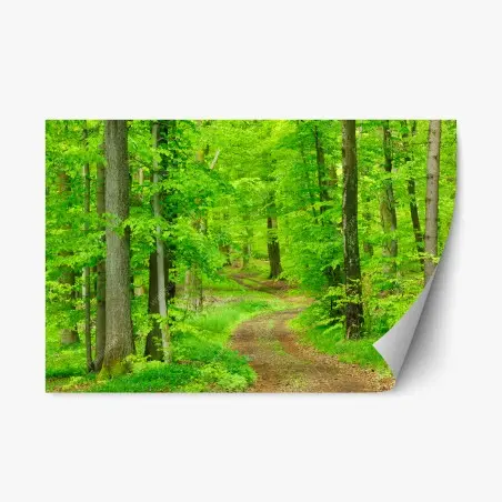 Repositionable sticker serene forest path in spring • Wallissimo®