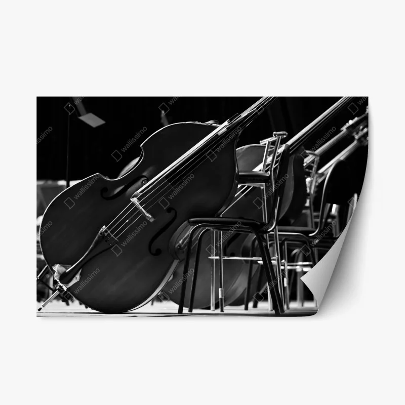 Repositionable sticker monochrome double basses in orchestra