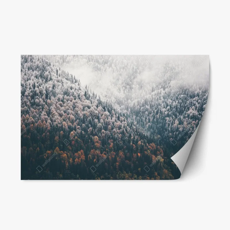 Repositionable sticker misty autumn forest on snowy mountain