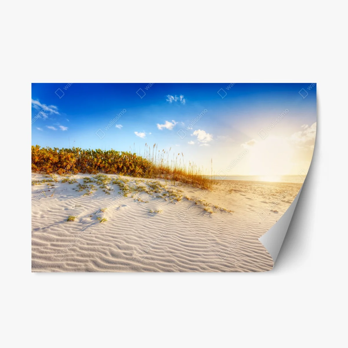 Repositionable sticker sunset over Grace Bay sand dunes • Wallissimo® Repositionable sticker sunset over Grace Bay sand dunes • Wallissimo®
