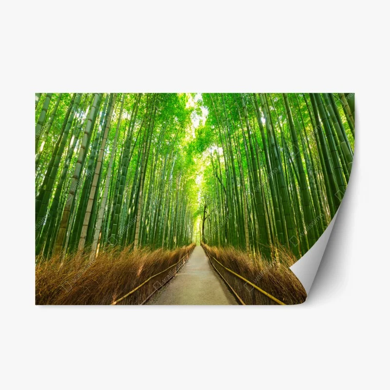 Repositionable sticker Hintersee autumn lake reflection at sunset • Wallissimo®